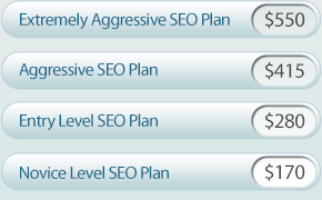 SEO Tampa Affordable Packages Affordable SEO Tampa