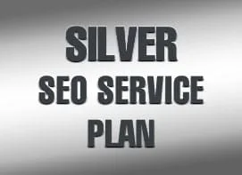 Silver SEO service plan